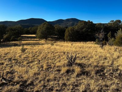 100 N Black St #Dog, Silver City, NM, 88061