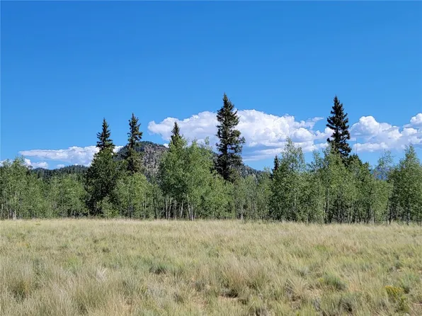 1031 Buffalo Ridge Rd, Como, CO 80456