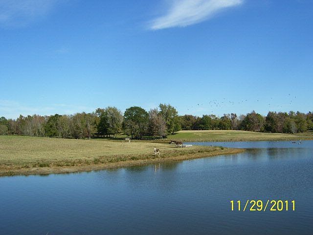 1st image of 18794 An County Road 404