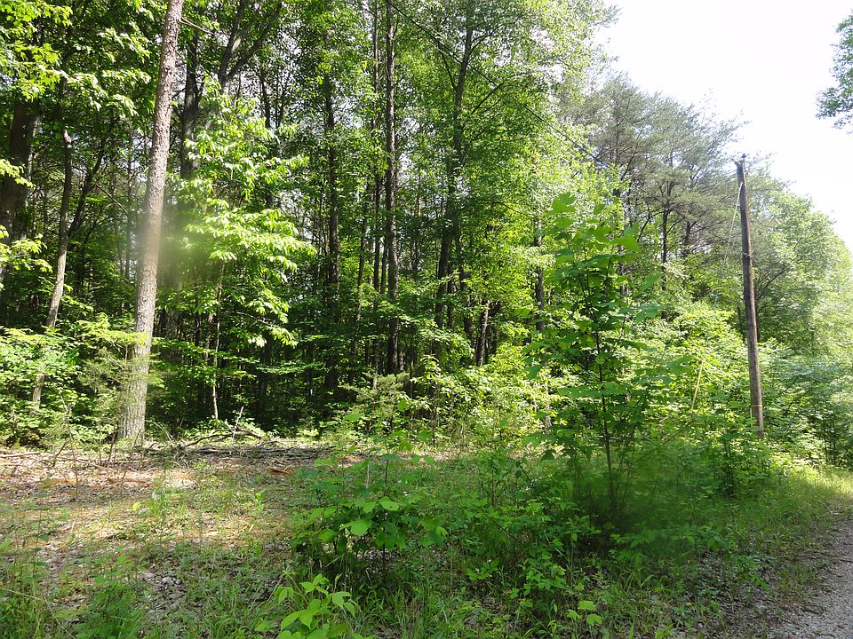 2nd image of Timber Trl