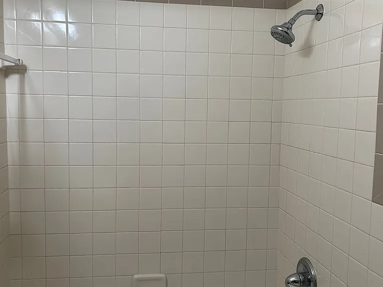 132 E. Lemon St. — Photo 15