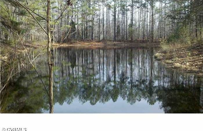 Pond