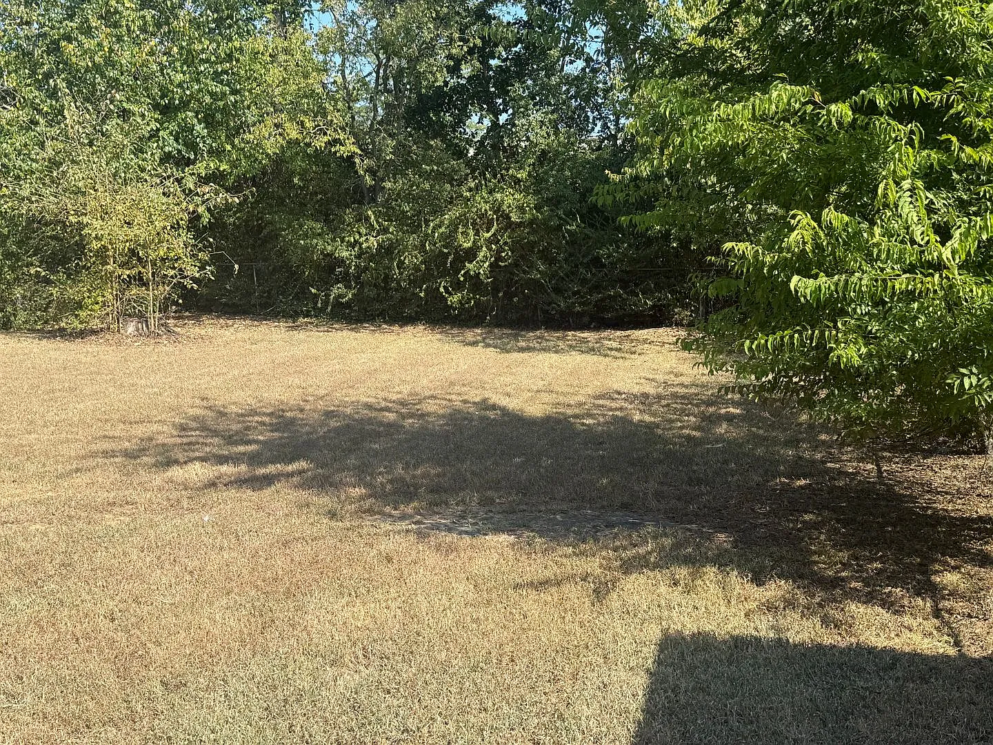 Convenient Location — Photo 3