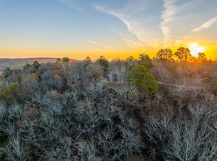 7288 Anderson County Rd #404, Palestine, TX 75803