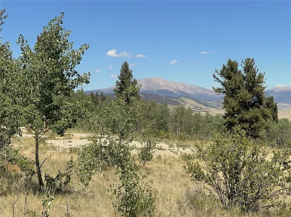 1178 REDHILL Road, Fairplay, CO 80440