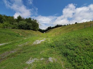 1 Maples Branch Rd LOT 1, Sevierville, TN 37876