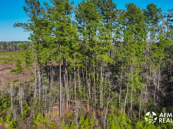 County Road 132, Lufkin, TX 75901