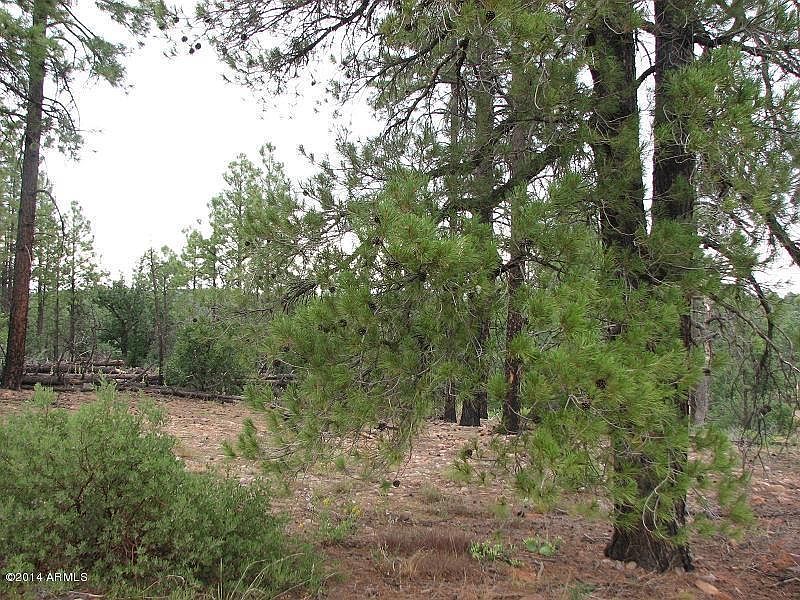 1st image of 837 Navajo Trl