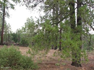 837 Navajo Trl, Show Low, AZ 85901