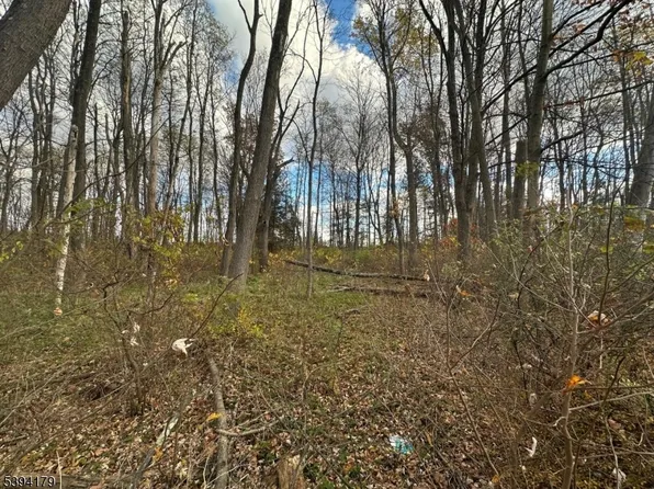 143 Vail Rd, Knowlton Twp., NJ 07832