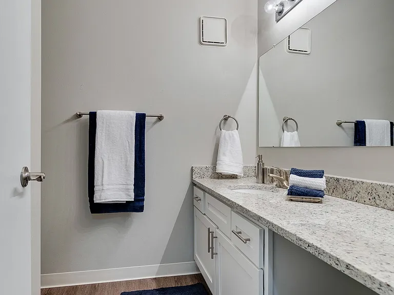 Renovated Bathroom With Ample Counterspace