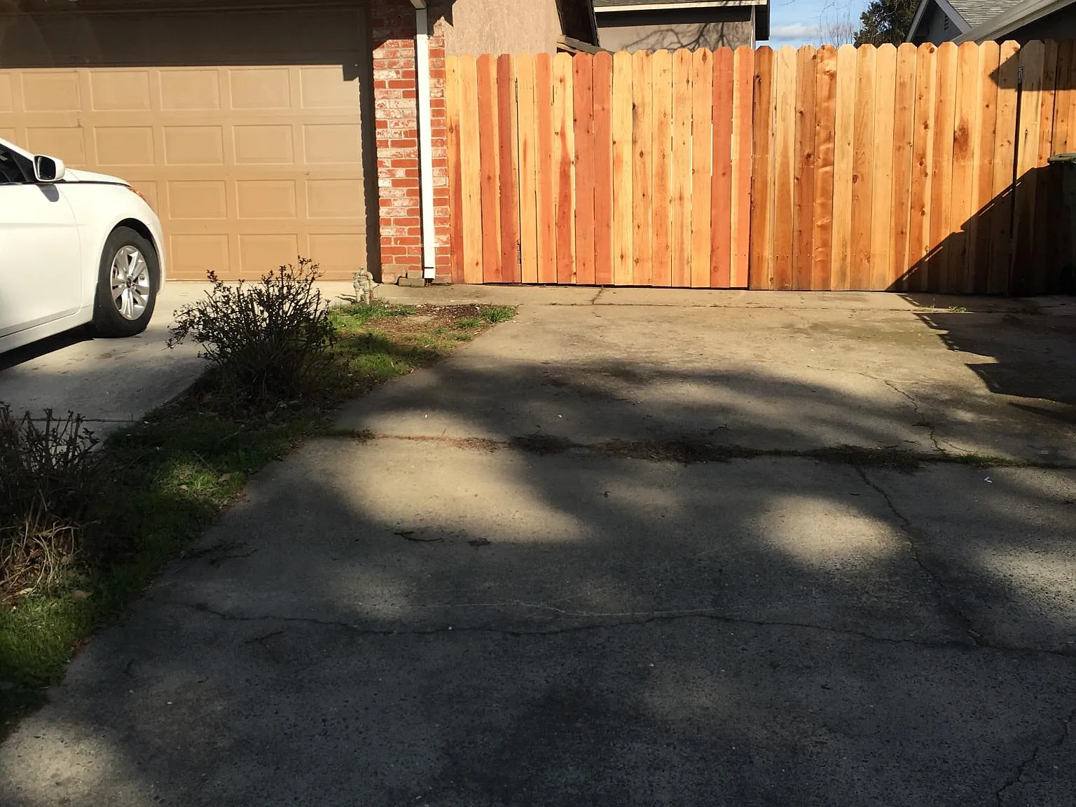 3 bed, 1600 sqft, $2,895 — Photo 4