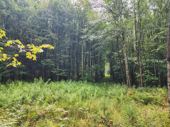 400 Sprague Rd, Afton, NY 13730