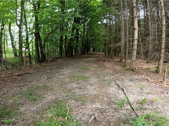 5th image of Vermont Hill Rd