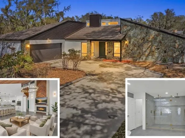 3033 Wister Cir, Valrico, FL 33596