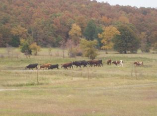 30379 W Fish Creek Rd, Kinta, OK 74552