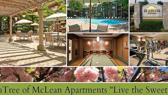 5th image of 2008 Peach Orchard Dr APT 33