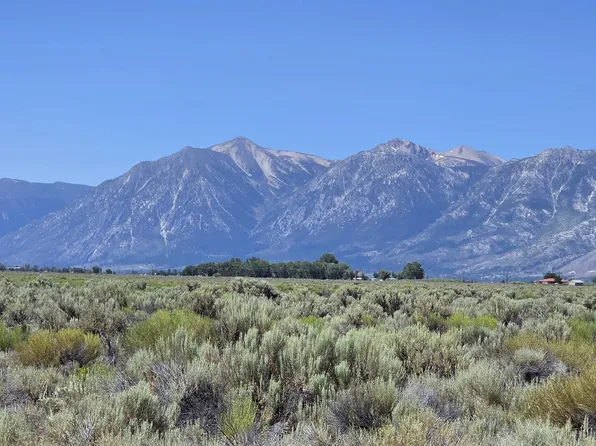 1205 Stephanie Way, Minden, NV 89423