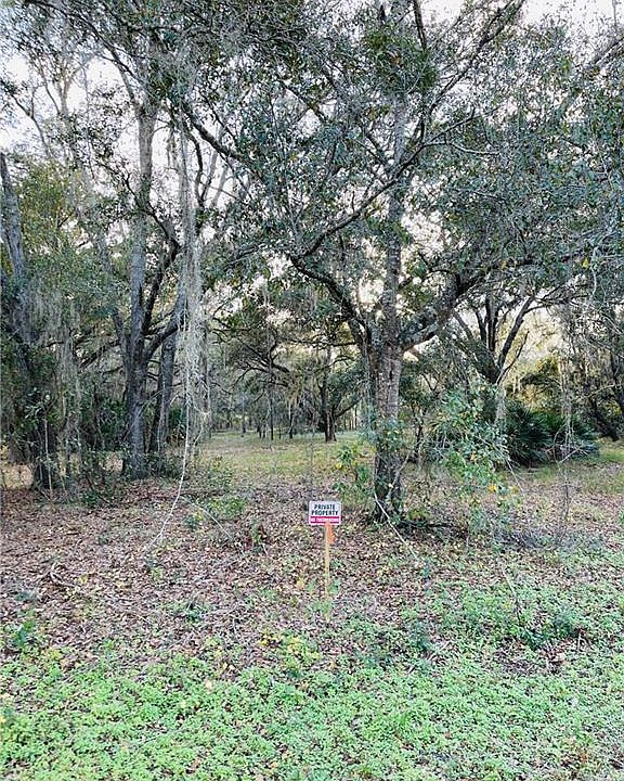 2nd image of 2507 Pine Needle Dr