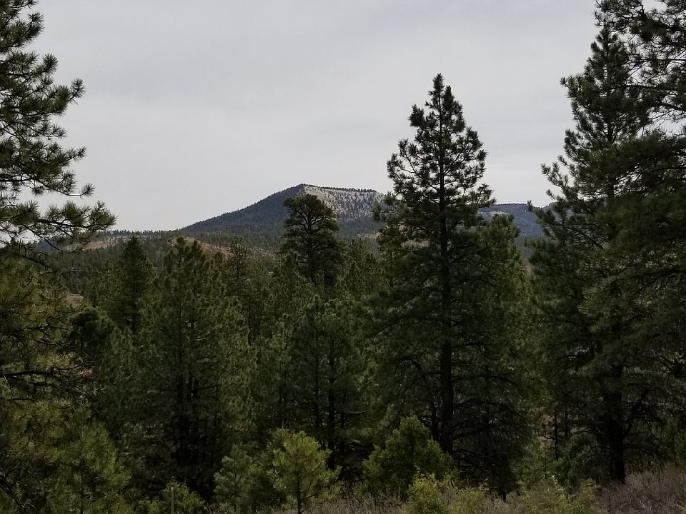 1st image of Bryce Cyn