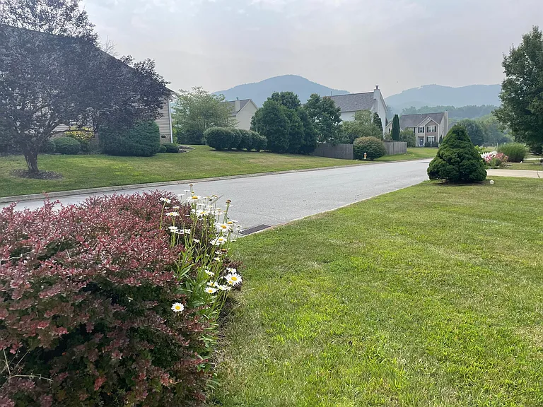 184 Walnut Crest Rd — Photo 44
