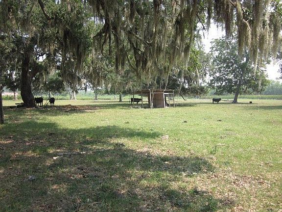 5th image of 3526 County Road 344