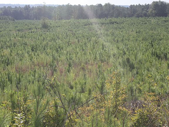 5th image of 0 Balerma Church Rd Tract 2