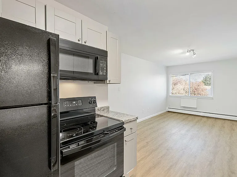 Bright and modern apartment kitchen with sleek black appliances and open living space featuring abundant natural light from large windows.