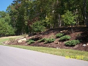 2nd image of Route 60 E