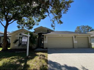 2611 Vinedale Ave, Valrico, FL 33596