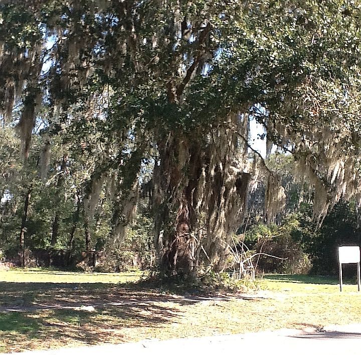 2nd image of 2989 Greenridge Rd