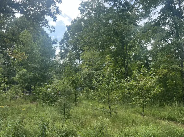 0 Bull Run Lot 16, Beechgrove, TN 37018