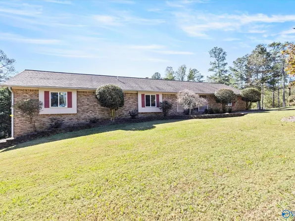 5005 Neely Ave, Guntersville, AL 35976