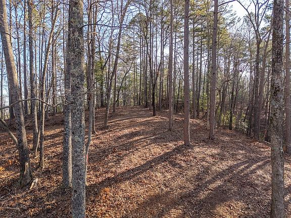 5th image of 1665 Hunter Dr