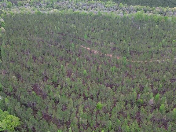 Dji Fly 20260406 113110 592 1775489490211 Photo Optimized