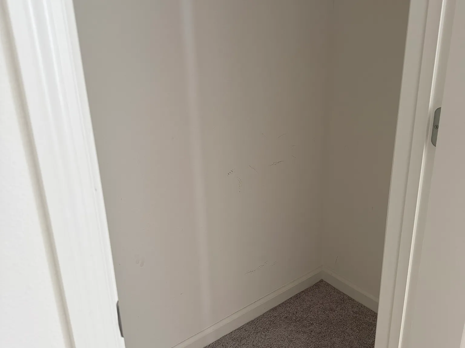 4 bed, 2.5 bath, 1964 sqft, $2,750 — Photo 4