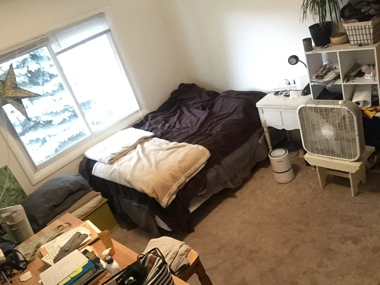 2 bed, 1000 sqft, $1,475 — Photo 4