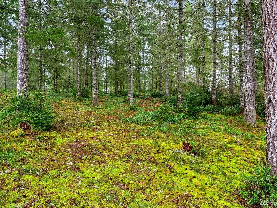 630 E Soderberg Rd Allyn, WA, 98524 Apartments for Rent Zillow