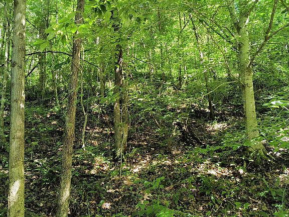 2nd image of Indian Creek Ln