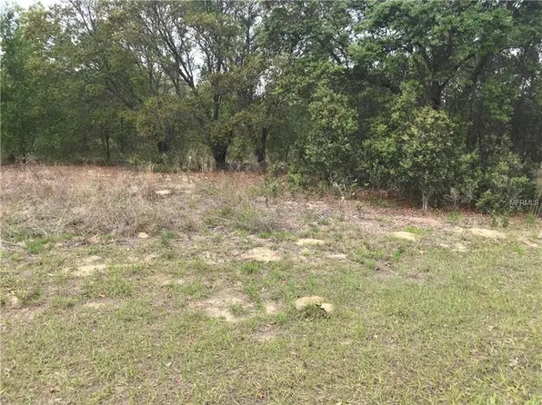 2567 W Wilmington Cir, Citrus Springs, FL 34434