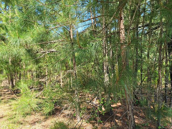 4th image of 6043 Saint Andrews Dr #6043