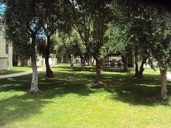 Common Area