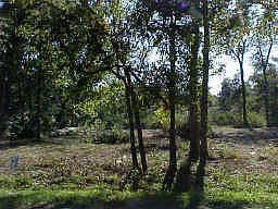 1st image of 17827 Bamwood Dr