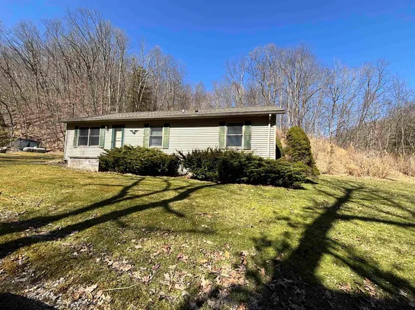 181 Old Weaver Rd, Elkins, WV 26241