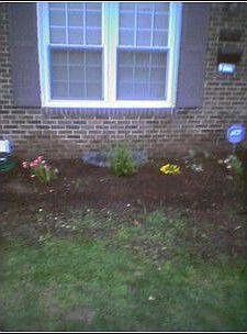 flower bed