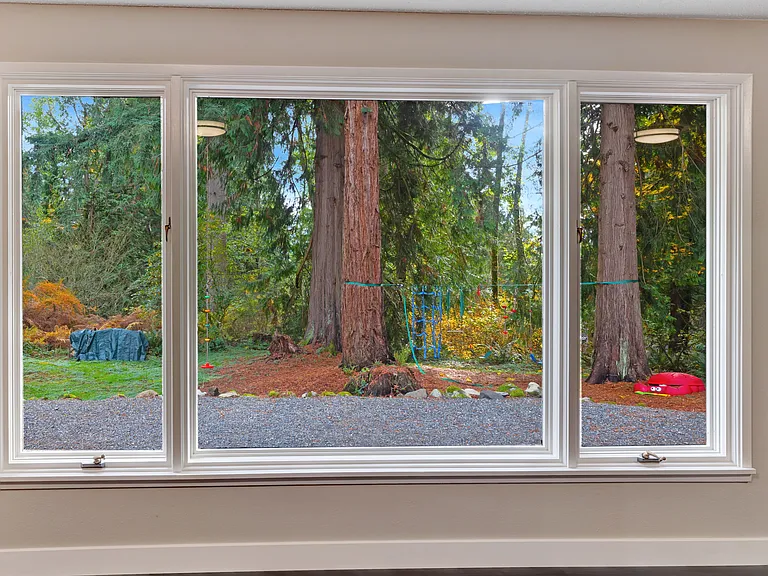 View from family room