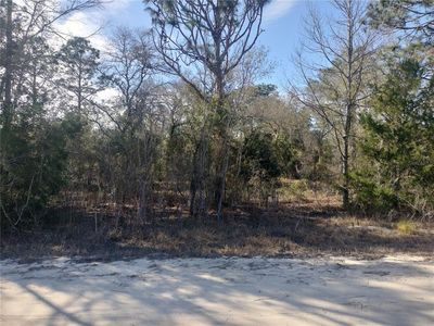 SE 137TH COURT LOT 2, Morriston, FL, 32668
