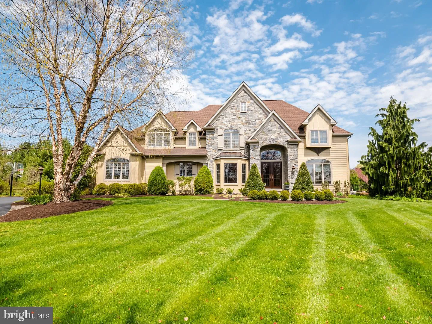 20 Longmeadow St photo 1