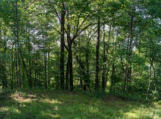 Portion Of LOT 14, Mill Spring, NC 28756