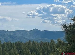 50 Shorties Ct, Pagosa Springs, CO 81147